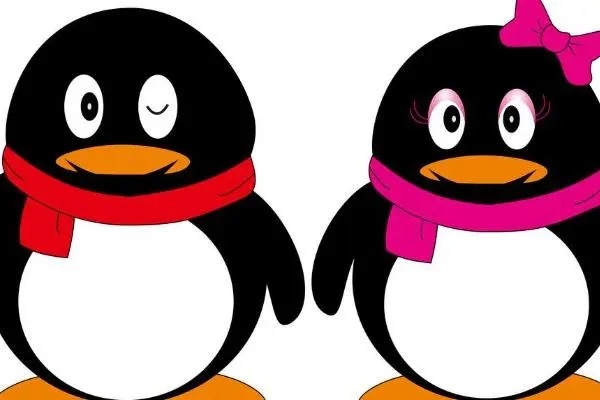 买号绑定手机号什么的可信吗？